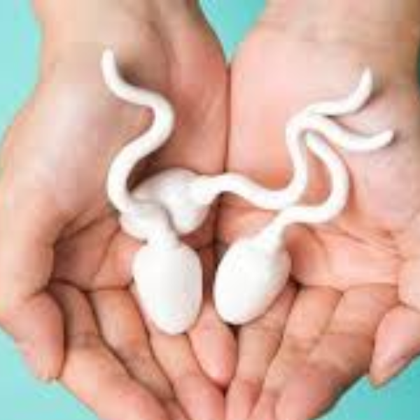 Nguyên nhân sâu xa khiến xuất tinh sớm ngày càng trẻ hóa